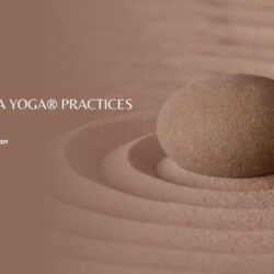 A Day of Siddha Yoga&reg; Practices - Sunday, March 1, 2026